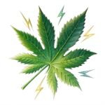 marijuana connectz logo