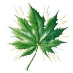 marijuana connectz logo