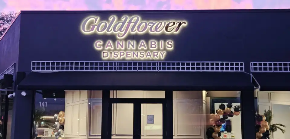 imgi_99_Goldflower-Tampa goldflower 9/10