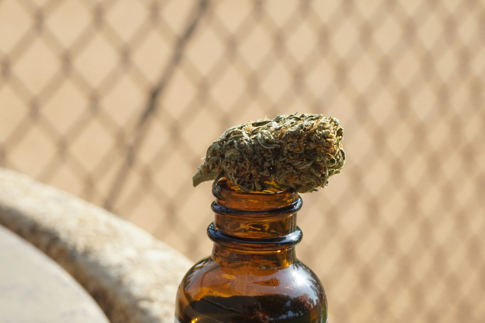 How Medical Marijuana Can Help You Ditch Alcohol