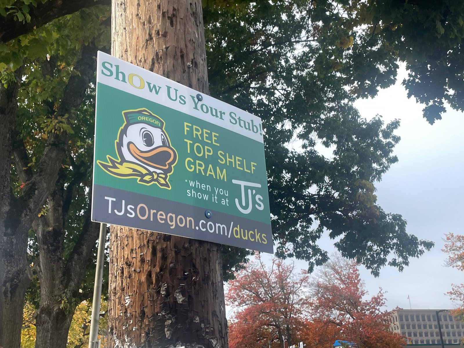 UO sends cease-and-desist letter to local marijuana dispensary – Lookout Eugene-Springfield