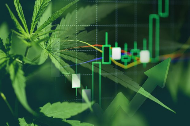Should You Buy GTBIF Stock After Marijuana Reclassification Order? – Zacks Investment Research