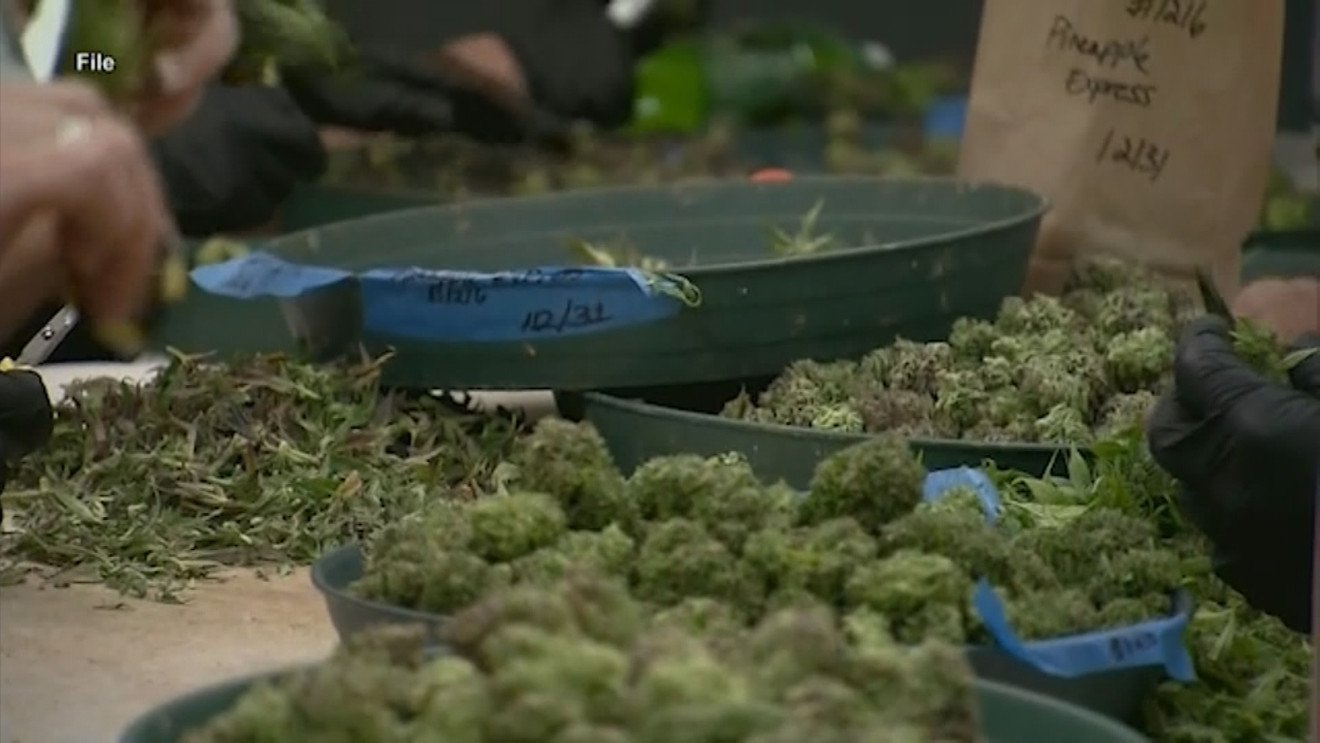 Hazy outlook for marijuana legalization in Indiana – WSBT