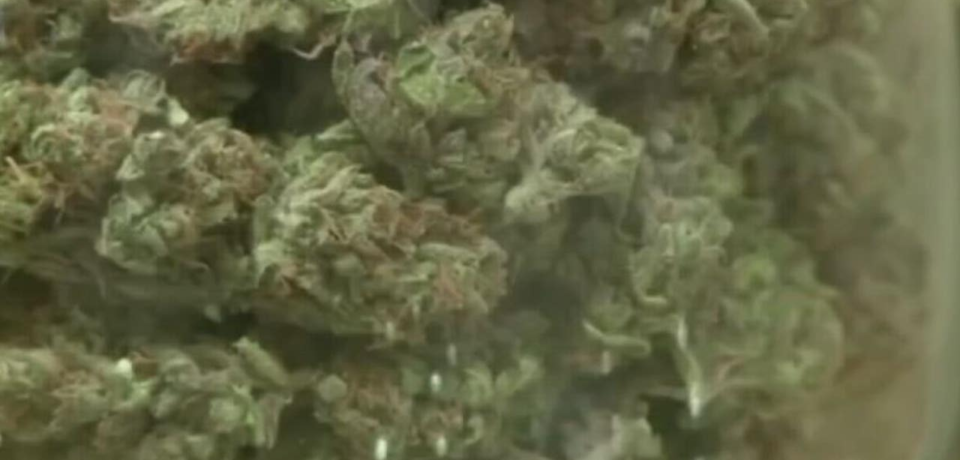 wp-header-logo-14.png wp-header-logo-14.png