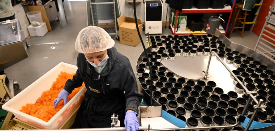 wp-header-logo-15.png wp-header-logo-15.png