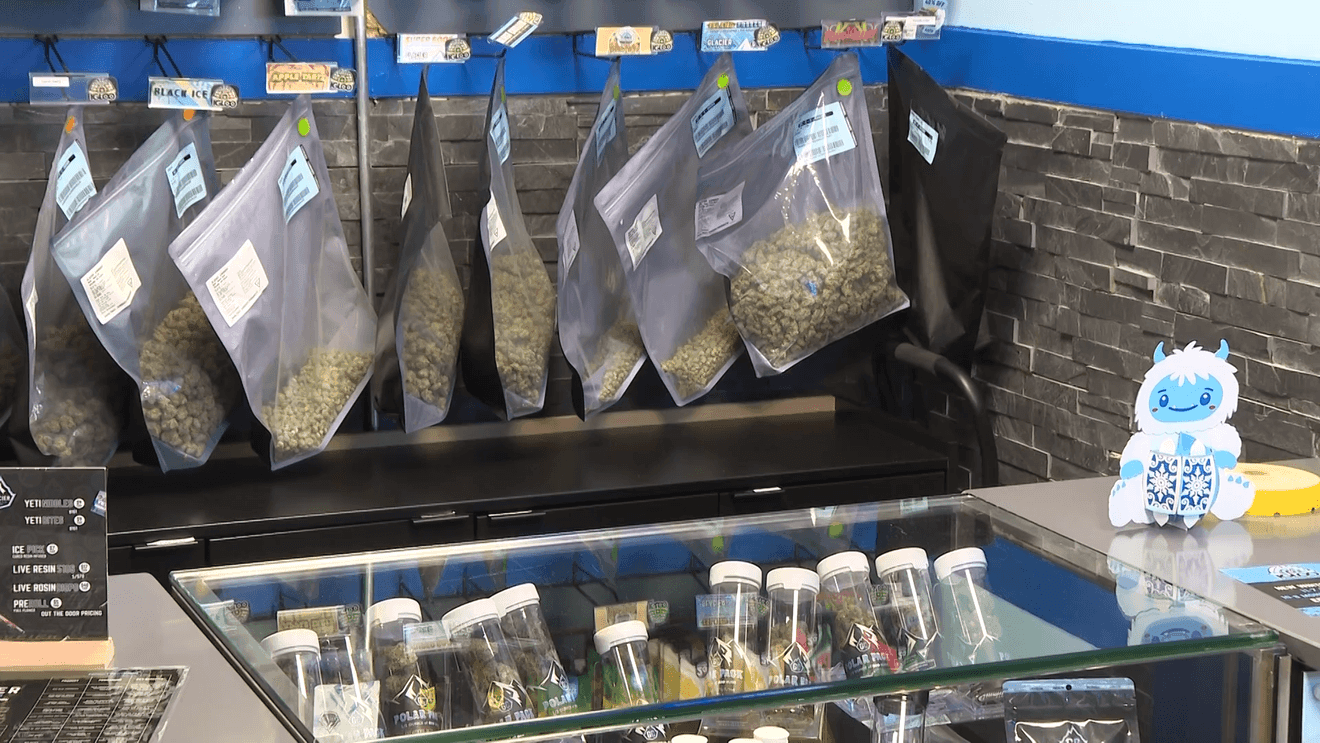 Michigan marijuana industry appeals decision allowing wholesale tax to proceed – WWMT