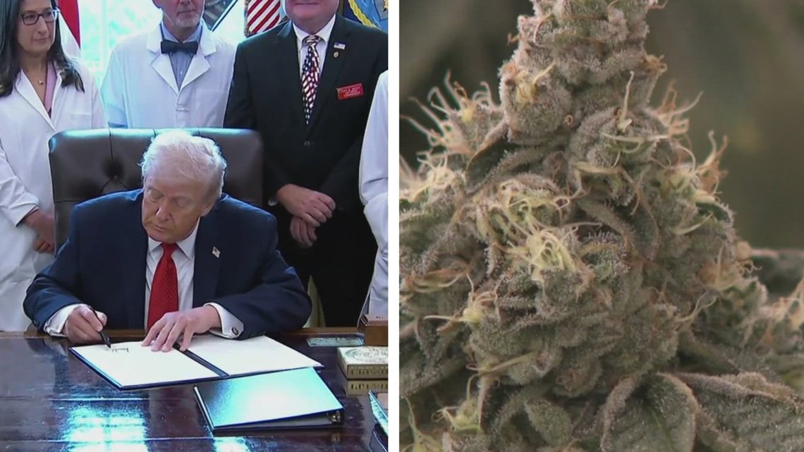 Here's how Trump's marijuana order impacts Arkansans – THV11