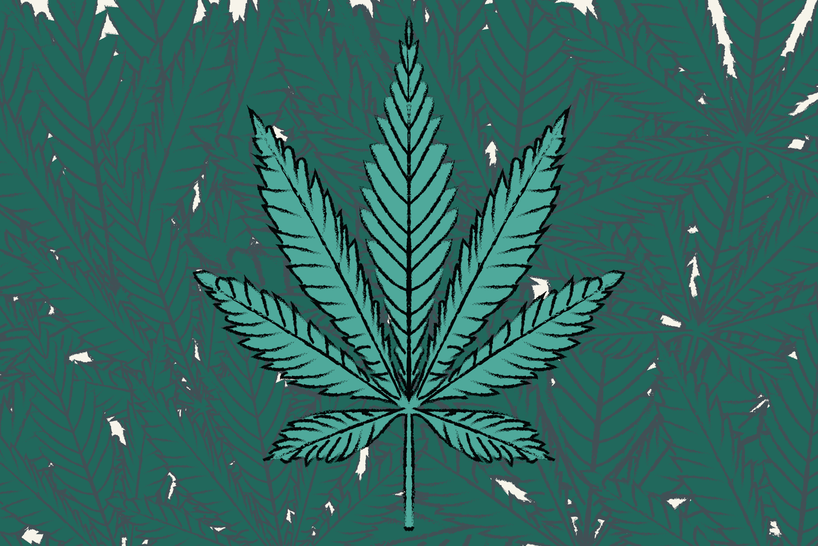 Plans for Highland Square marijuana dispensary raise concerns – Signal Akron