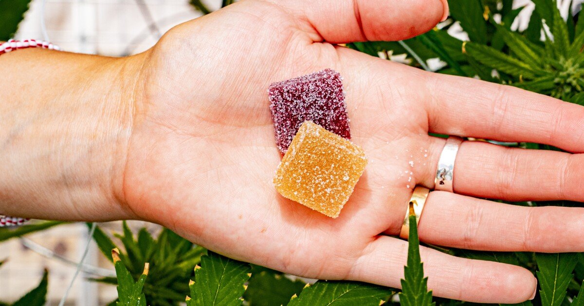 Wayne State launching "groundbreaking" research on using cannabis to treat veteran PTSD – Michigan Public