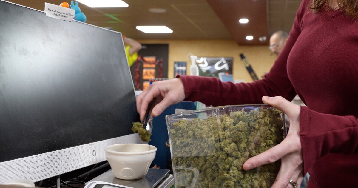 Cannabis retailers celebrate potential reclassification from Schedule 1 to Schedule 3 – KOAA News 5