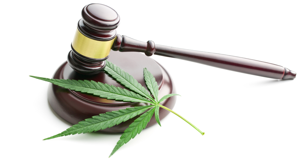 Wait, Is Marijuana Legal? How Trump’s Executive Order on Marijuana May Impact the Workplace – Littler Mendelson P.C.