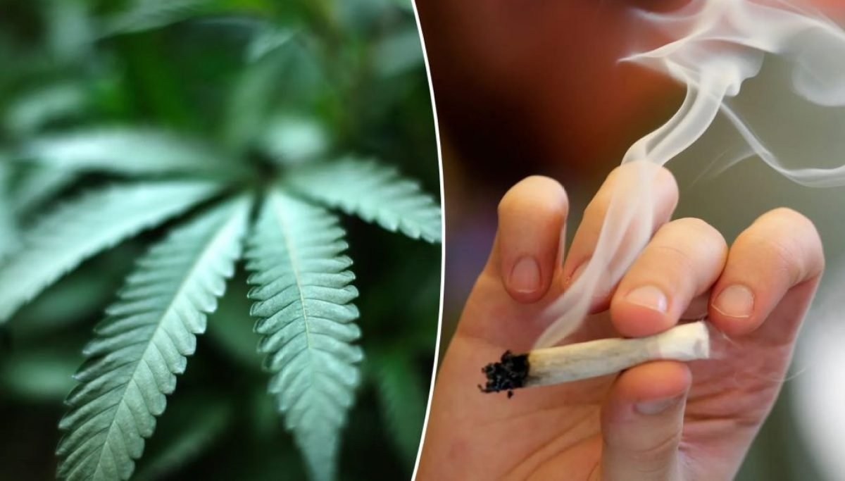 Trump’s marijuana move will make communities less safe – Washington Examiner