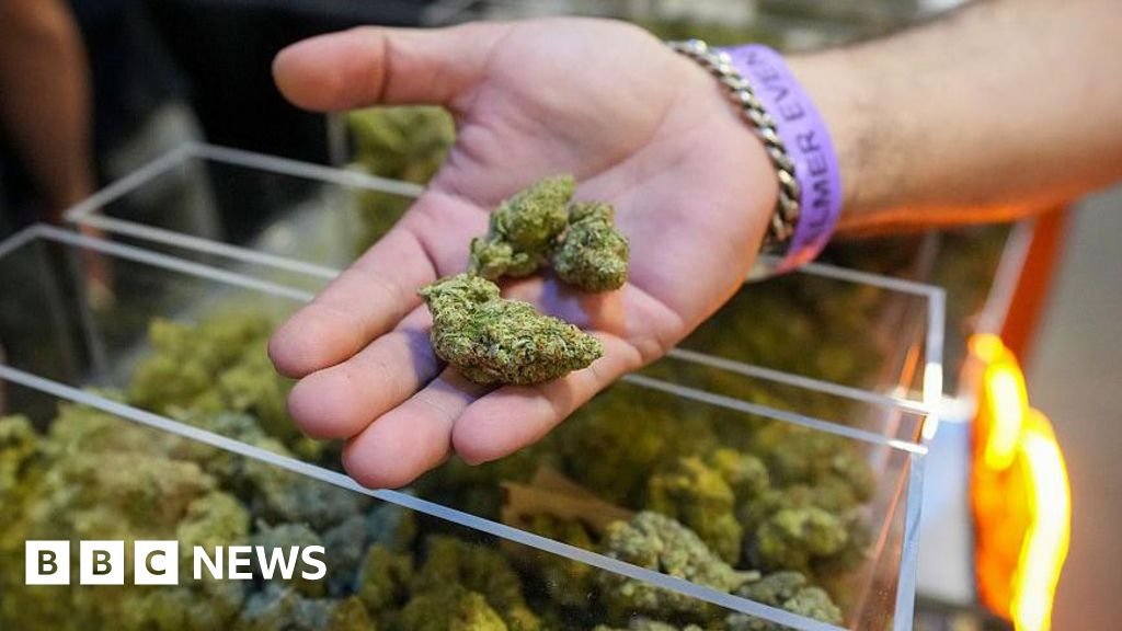 Trump expands access to cannabis in a major shift in drug policy – BBC
