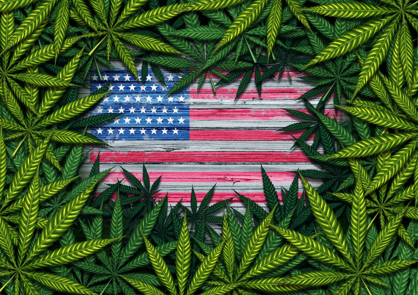 I Was Right: President Trump Will Legalize Marijuana in 2026 – The Motley Fool