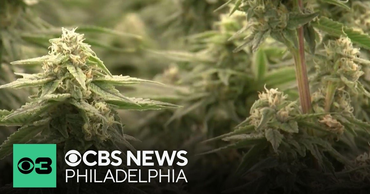 Bill in Delaware would ease penalties for public marijuana use – CBS News