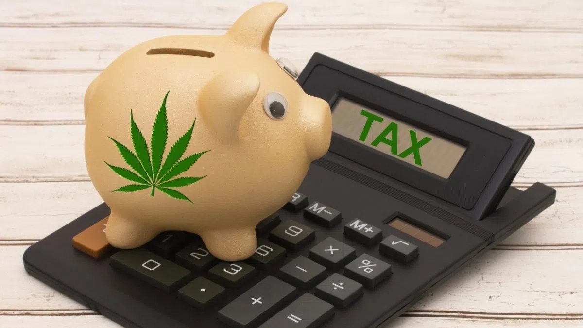 Michigan implements major marijuana wholesale tax hike on January 1 – WTVB
