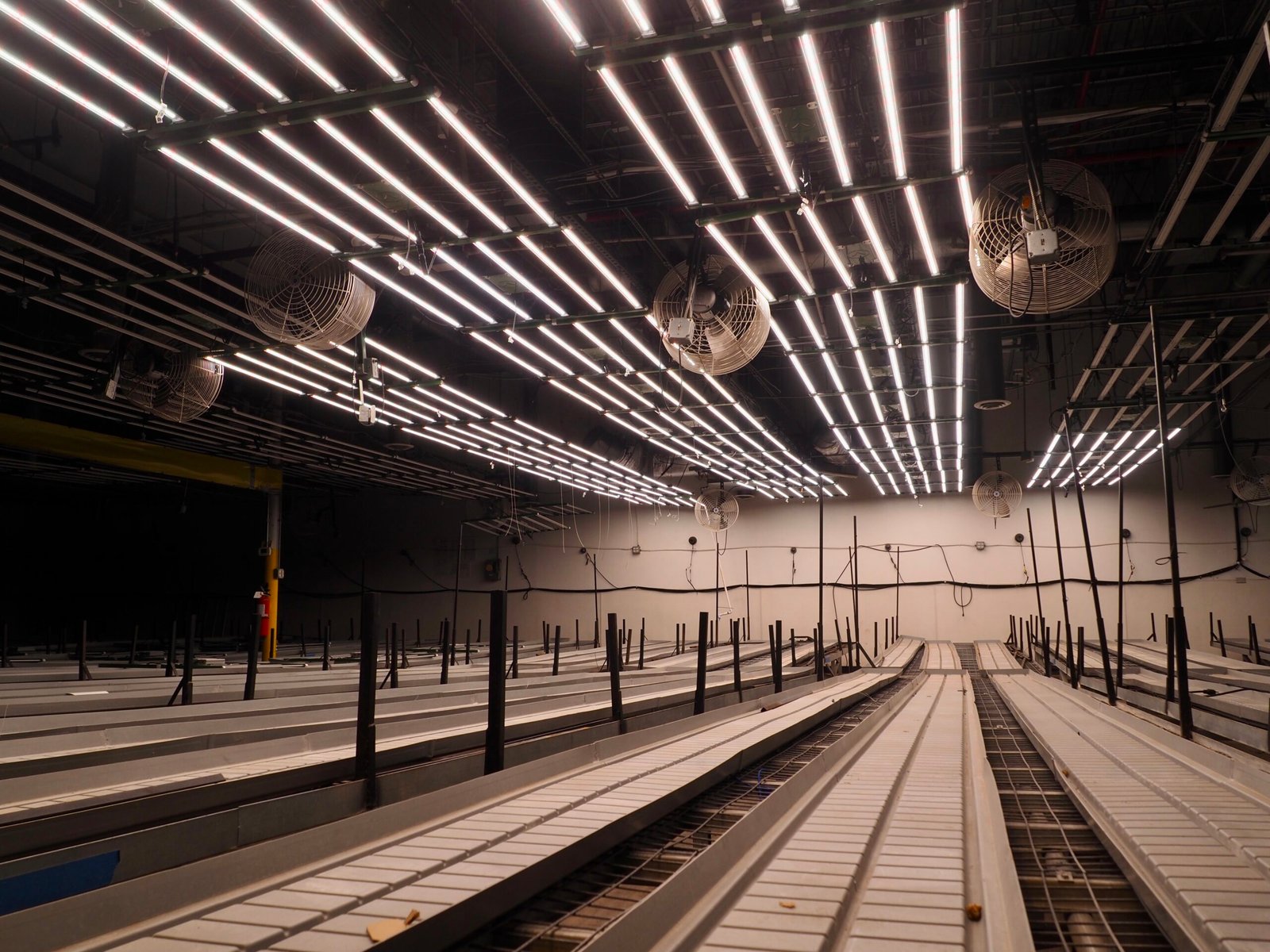 Marijuana wholesale prices hit record low in Colorado amid yearslong sales decline – BusinessDen