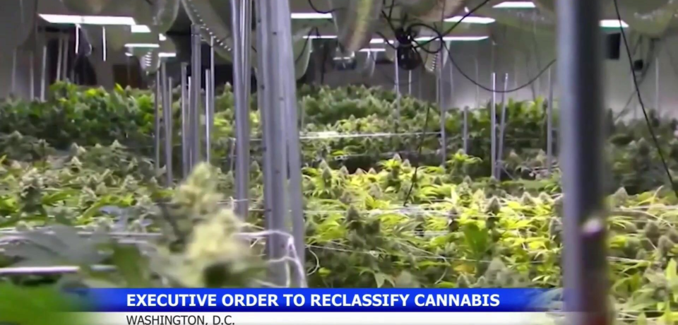 wp-header-logo-33.png wp-header-logo-33.png