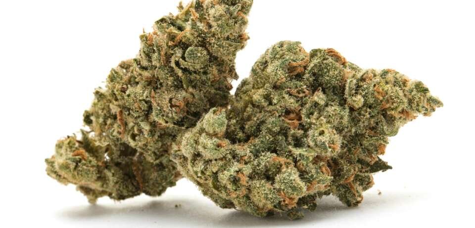 imgi_190_sample_weed_nug_1