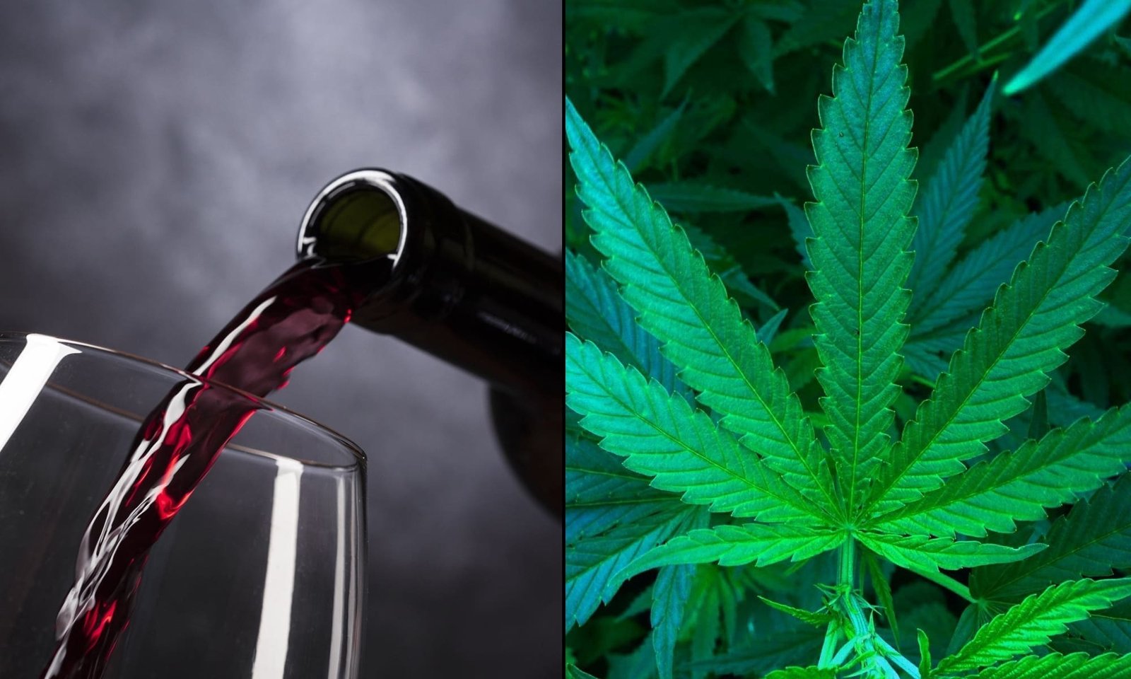 More Americans Want To Quit Using Alcohol And Tobacco Than Marijuana In 2026, New Year's Resolution Poll Finds – Marijuana Moment