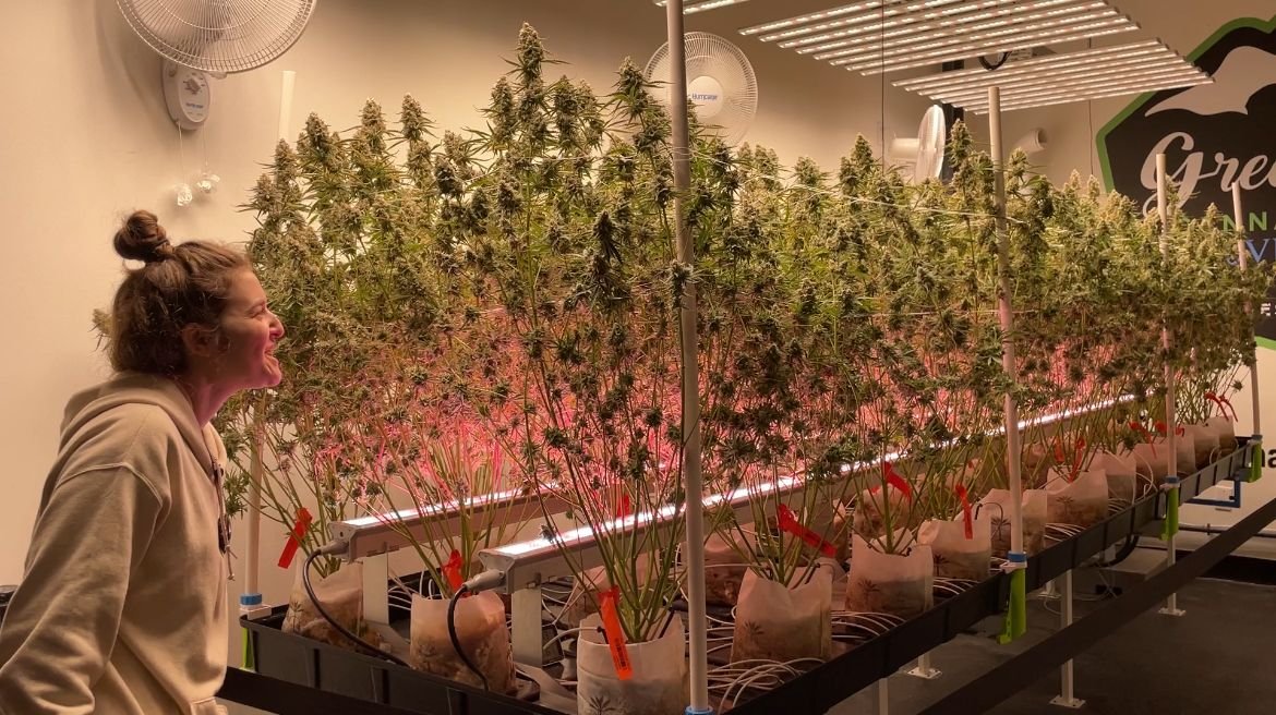 Recreational marijuana sales to all adults 21 or over begin on N.C. tribal land – Spectrum News