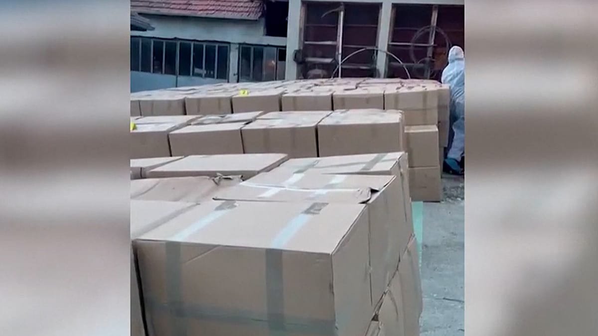 Video. Major drug bust in Serbia: police confiscate 5 tonnes of marijuana in Kruševac – Euronews.com