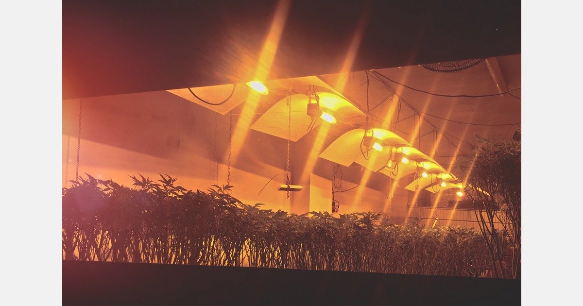 CAN: Pelham's cannabis odor bylaw being challenged by local grower – MMJDaily