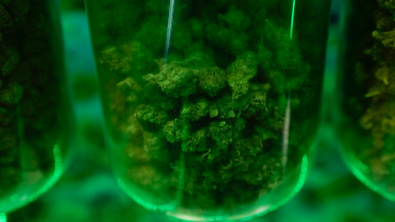 NC Poison Control warns of increased cannabis exposure in children – WLOS