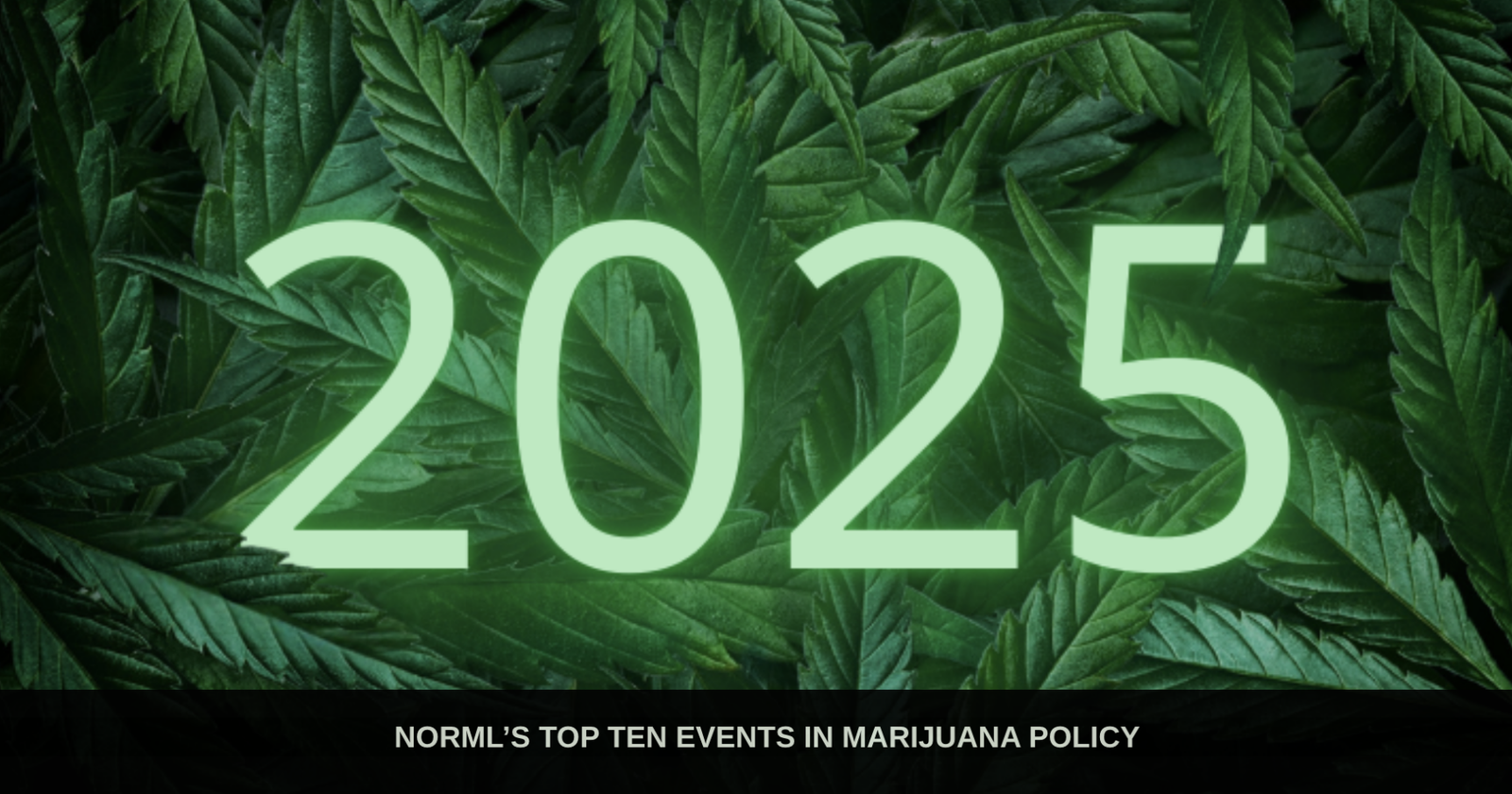 2025 Year in Review: NORML’s Top Ten Events in Cannabis Policy – Brattleboro Reformer