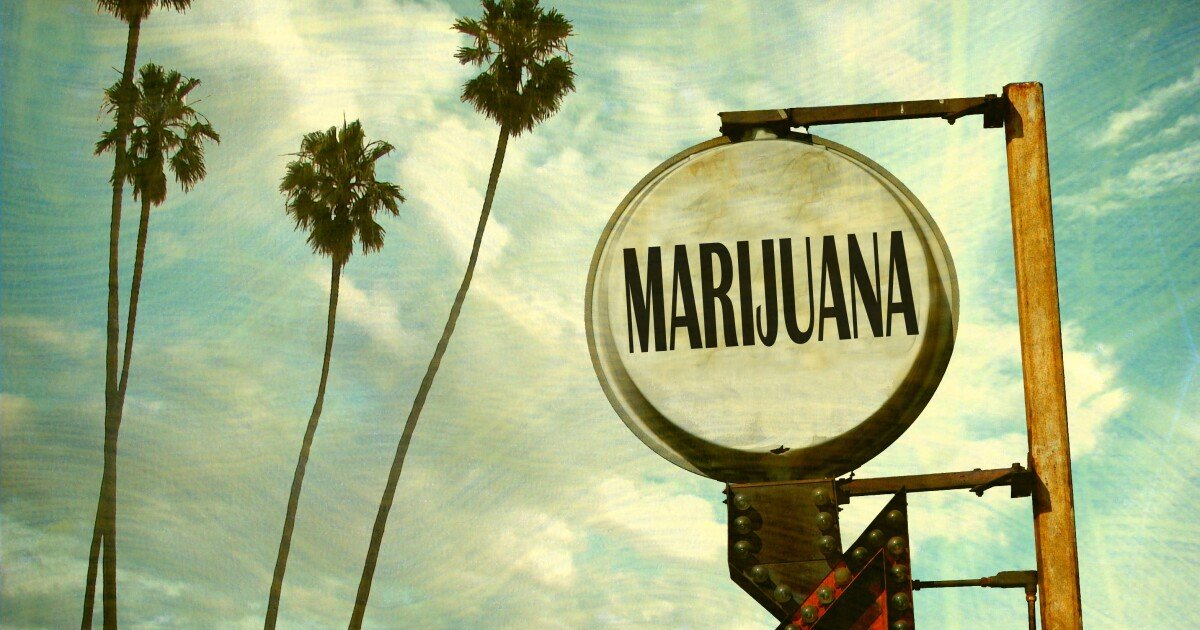 Cannabis may see tax relief under Trump order – Accounting Today