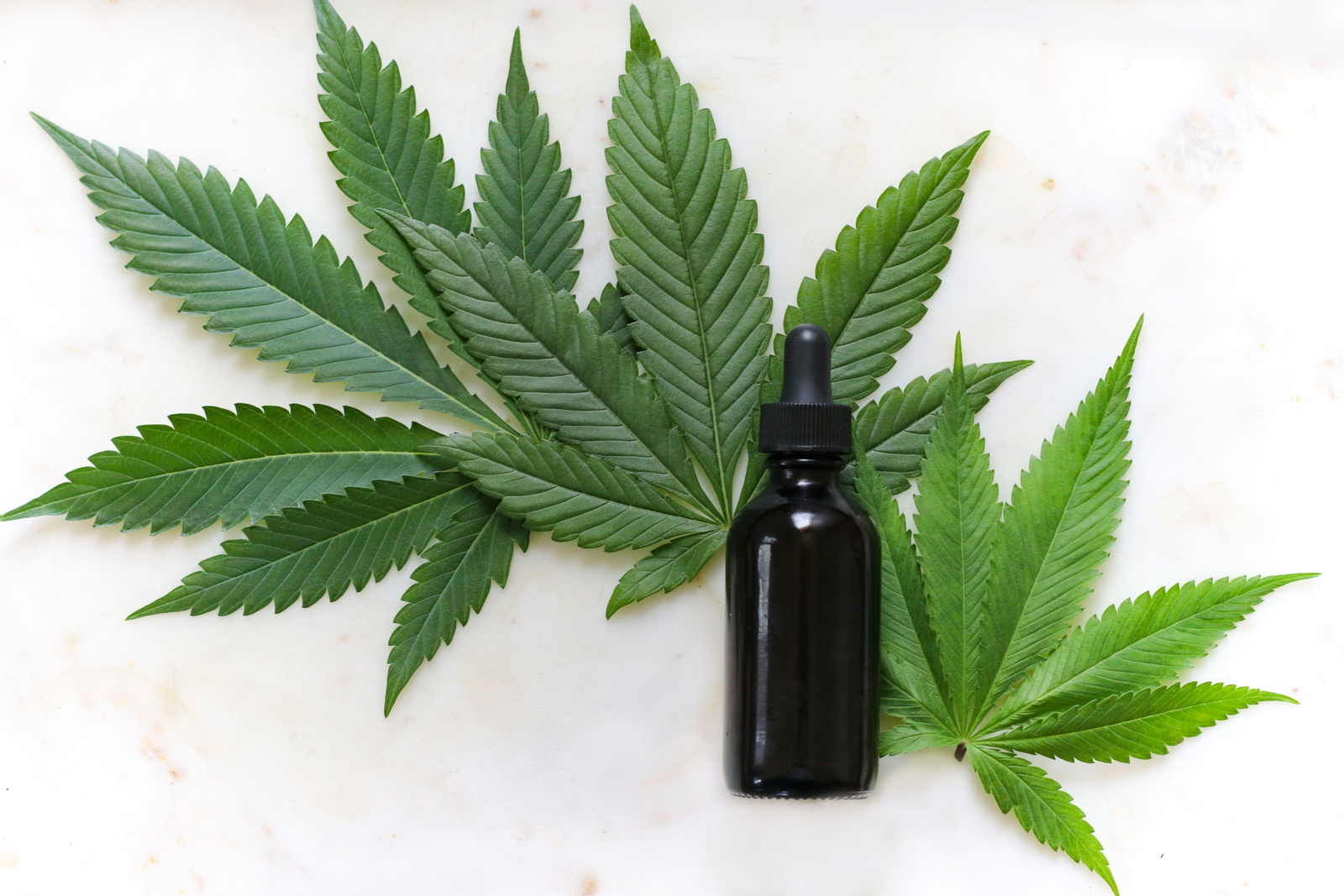 CBD Has ‘Substantial Promise’ To Combat Tumors From Cancer, Scientific Review Shows – Marijuana Moment