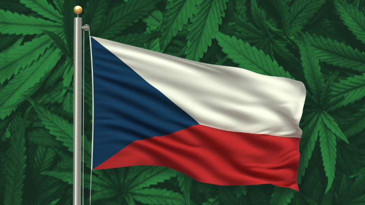 Czech Republic: Legislation Takes Effect Legalizing Personal Marijuana Possession – NORML