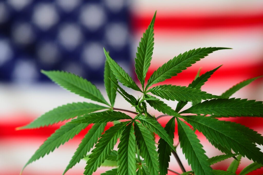 Trump's Marijuana Order Is Lighting Up This Cannabis ETF: Momentum Score Spikes – Benzinga