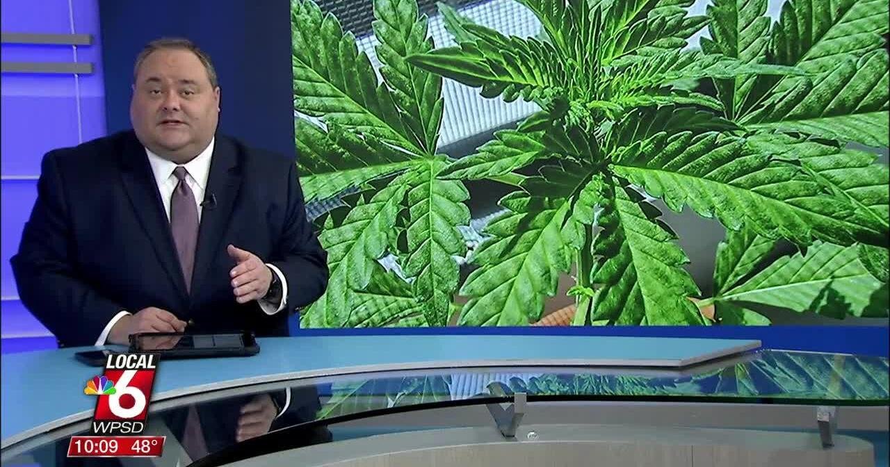 KY Lawmakers in Jefferson County introduce recreational marijuana measure – WPSD Local 6