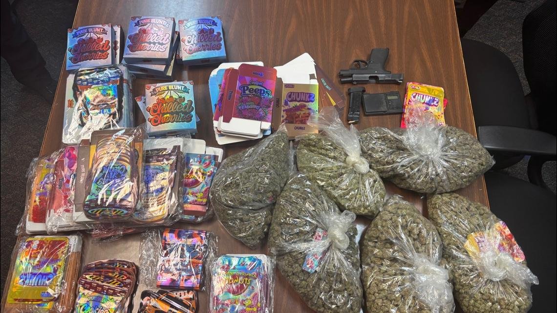Domestic dispute call turns into 10-pound marijuana bust on Hardscrabble Road – WLTX