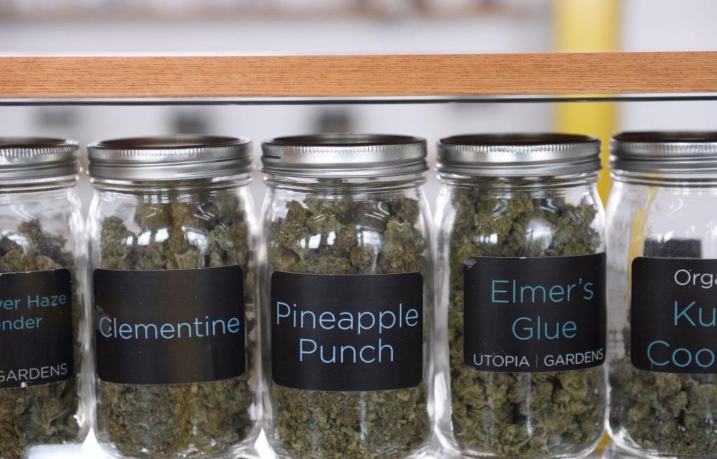 Some cannabis retailers say price hikes from new 24% tax won’t hit customers for now – The Oakland Press