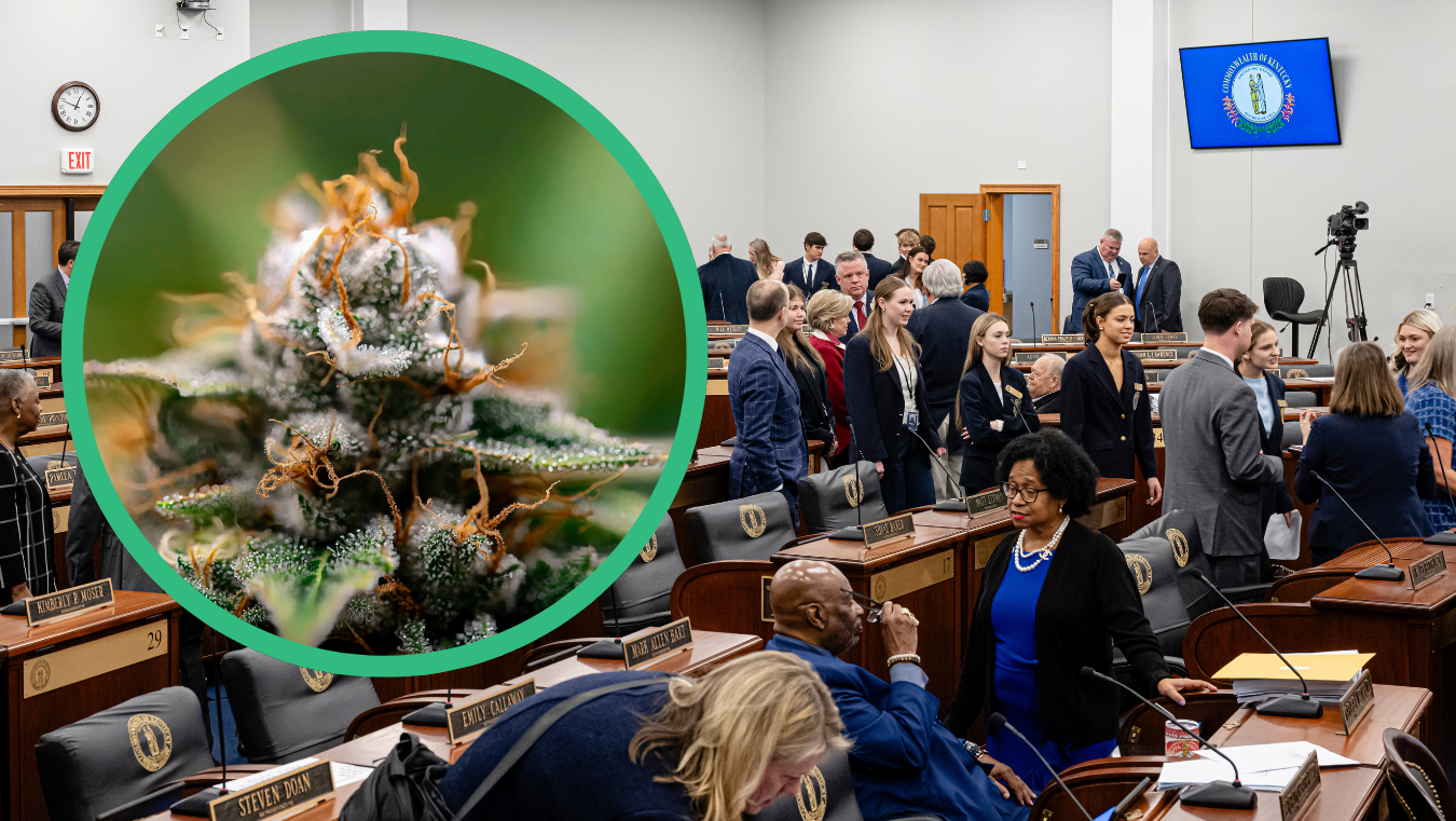 2 Kentucky House bills take aim at decriminalizing marijuana – WLKY