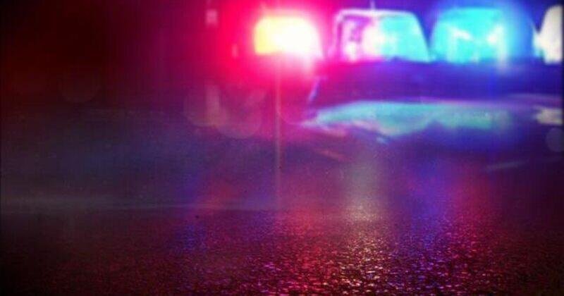 Douglas County secures $1.9M grant to fight illegal marijuana – KEZI