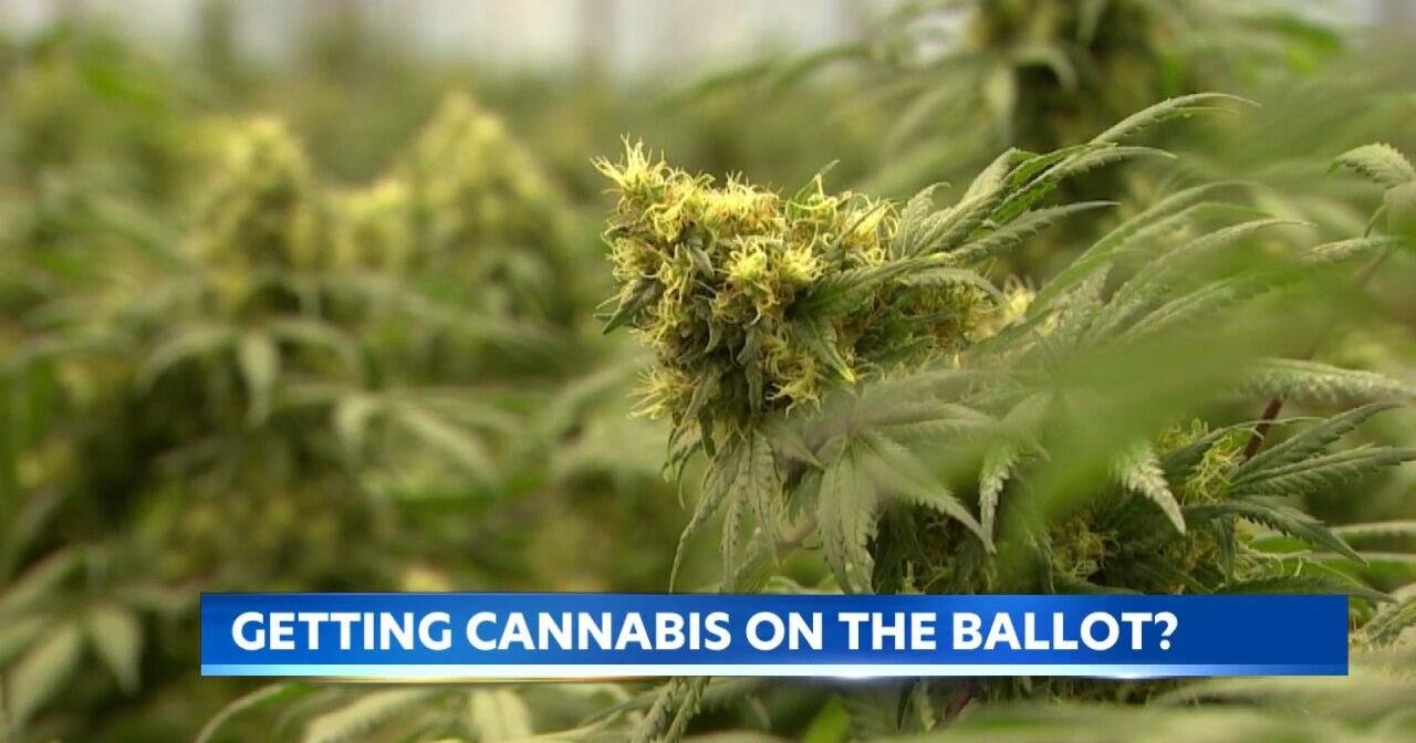 Potential marijuana vote could shift Hawaii's cannabis laws – KITV