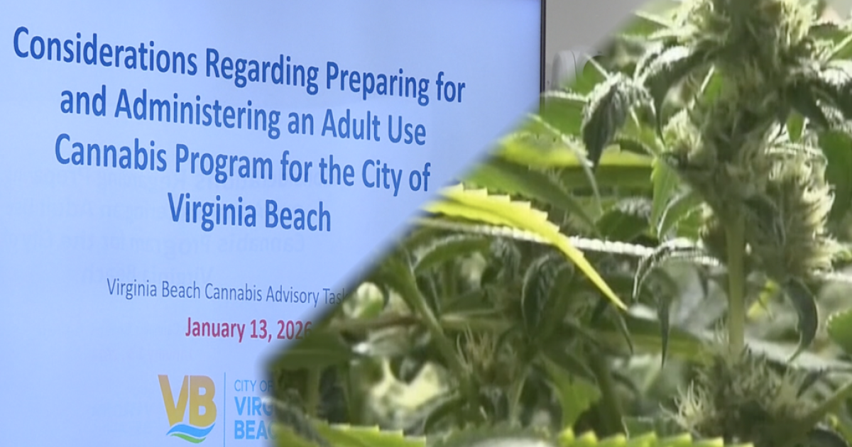 Virginia Beach city leaders prepare for possible retail cannabis sales – WTKR