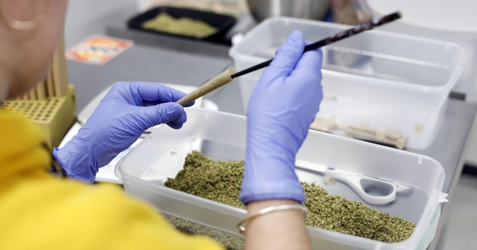 Massachusetts cannabis sales inched higher in 2025 to record $1.65 billion – The Berkshire Eagle