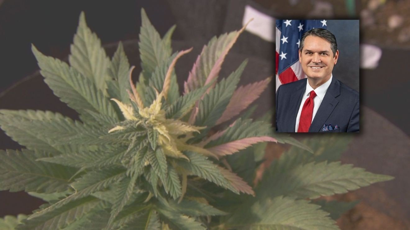 71,000 signatures snubbed?: Florida marijuana ballot initiative faces legal hurdle – WPEC