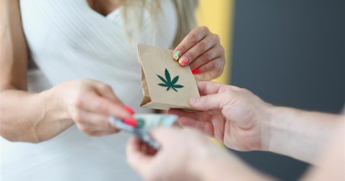 Medical marijuana dispensary owners weigh in on legalization – Aloha State Daily