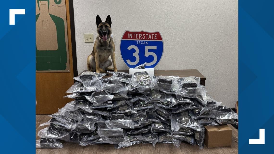 DPS seizes 79 pounds of marijuana in McLennan County – kcentv.com