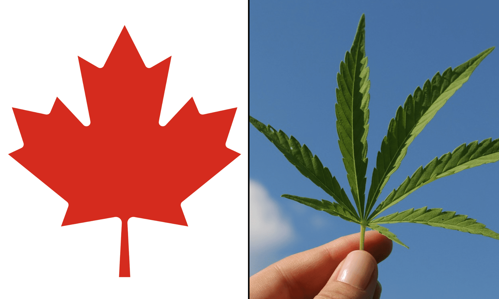 Canadian Support For Marijuana Legalization Is Increasing, New Poll Shows – Marijuana Moment