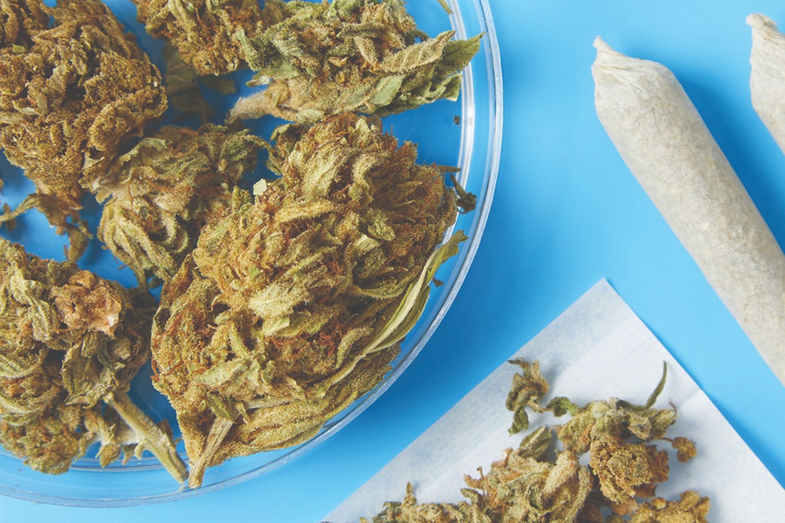 Recreational marijuana hits the shelves in Cherokee – 828 News Now