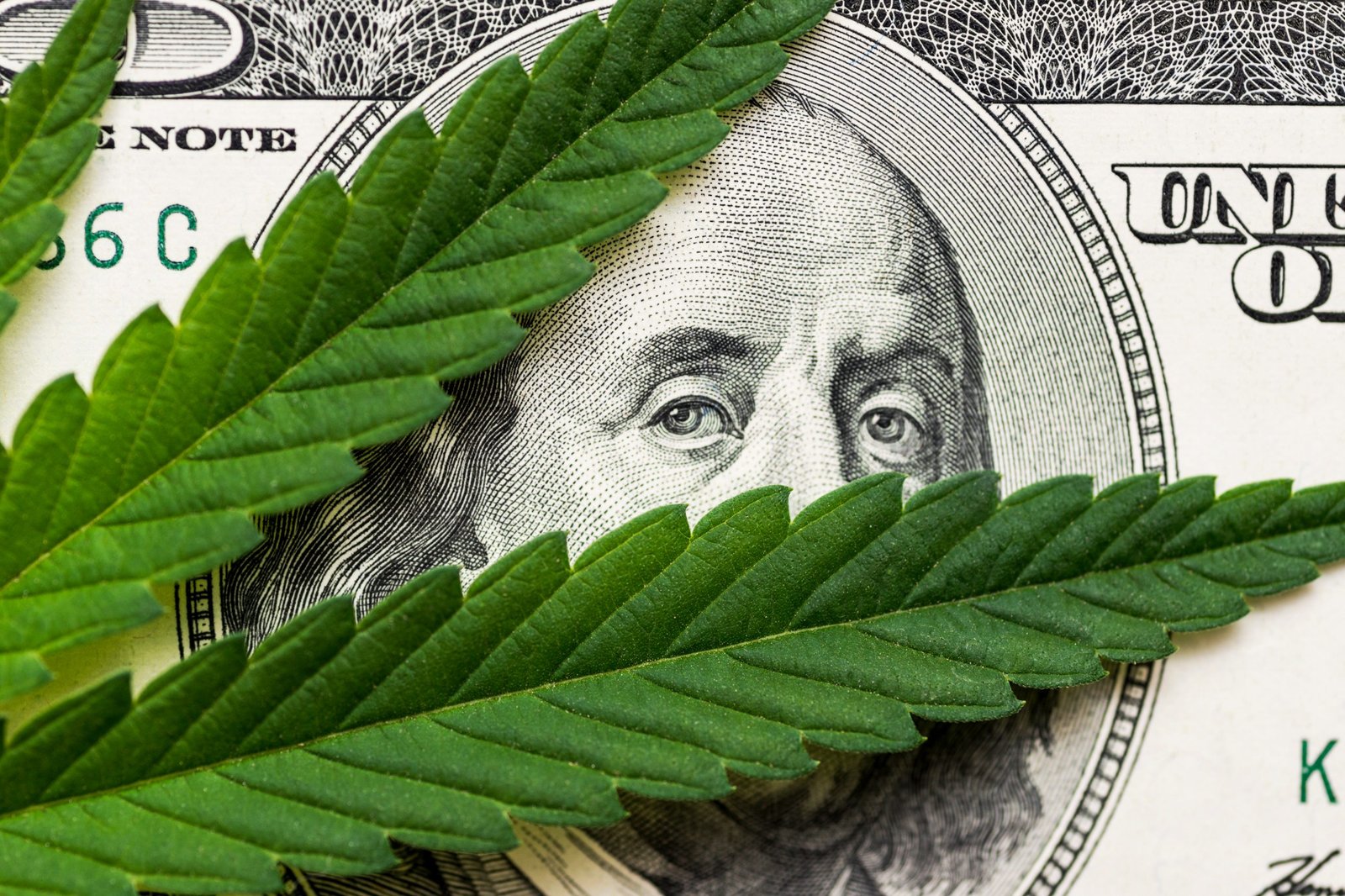 Missouri marijuana sales declined year over year for the first time in November – Greenway Magazine