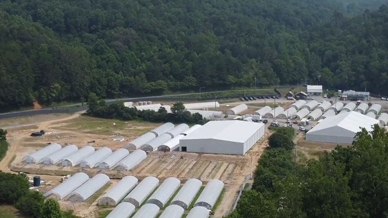 Seeing green: EBCI advances medical cannabis program amid challenges in North Carolina – WLOS