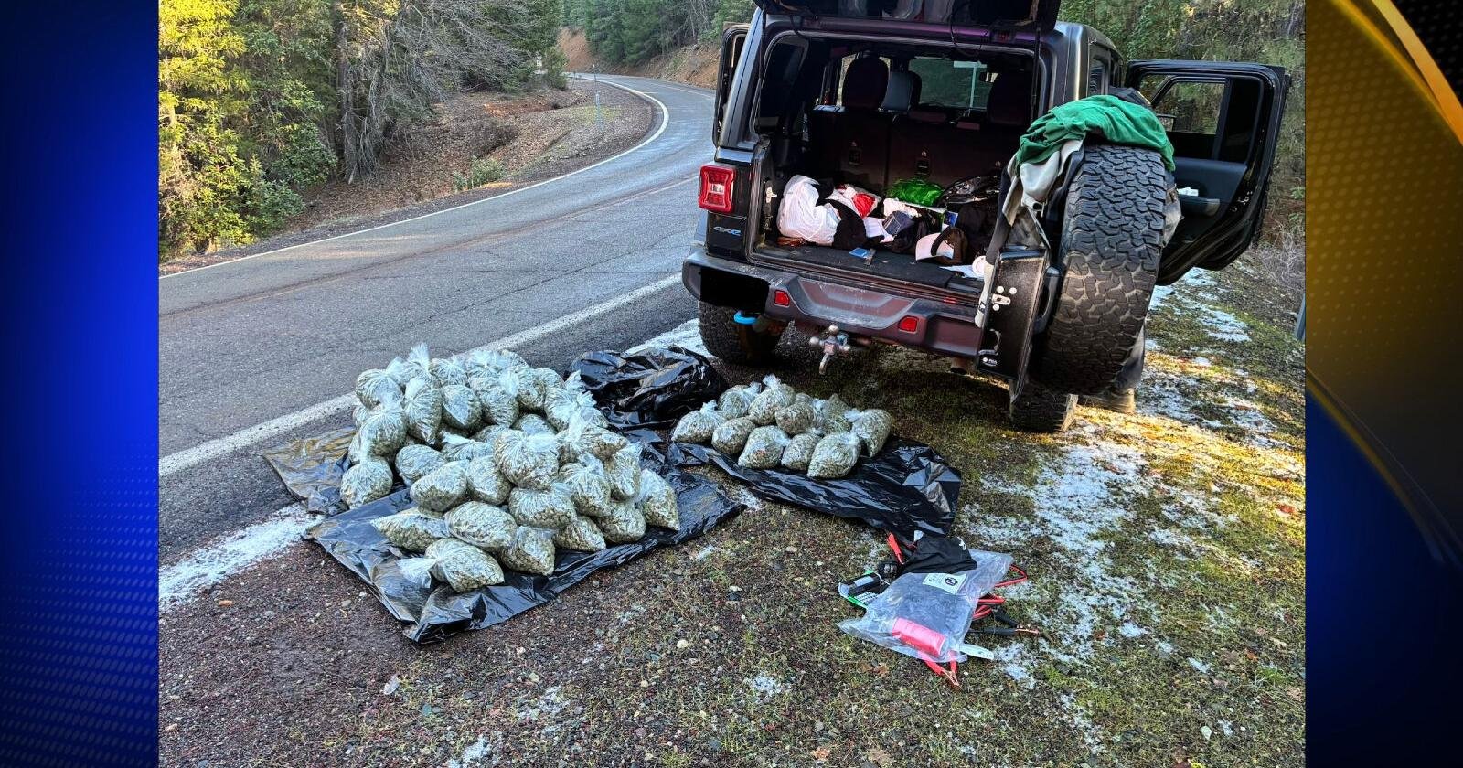 Traffic stop by California Highway Patrol near Hayfork results in discovery of 62 pounds of marijuana – actionnewsnow.com