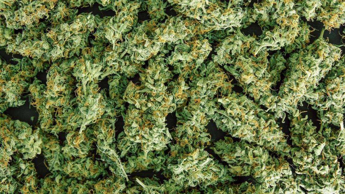 Lawsuit challenging Michigan's new 24% wholesale marijuana tax allowed to move forward – WZZM13.com